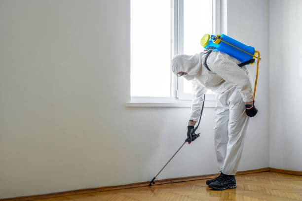 Emergency Pest Control in Grapevine, TX